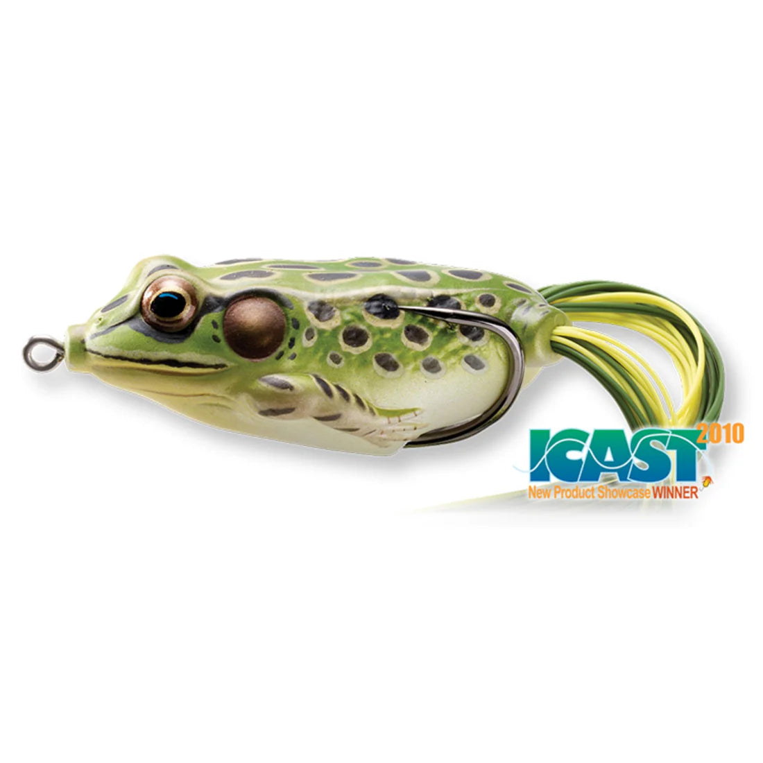 Hollow Body Frog