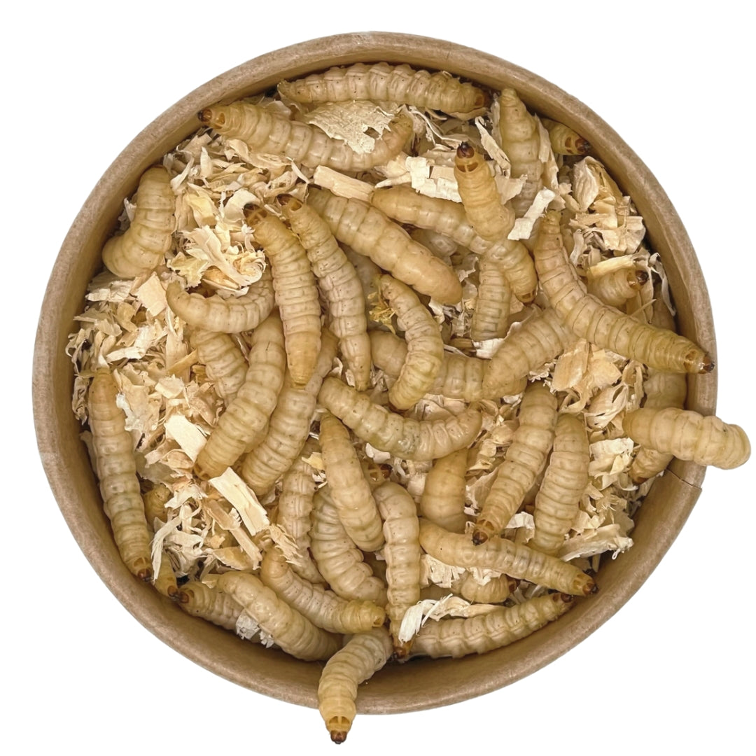 Bienemaden
