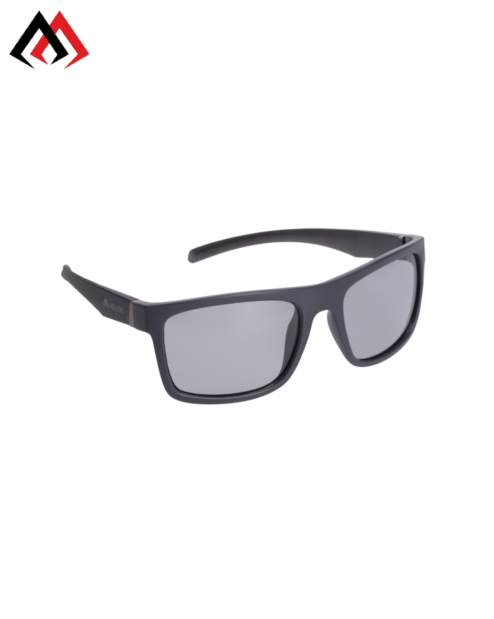 Polar & Photochrom Sunglass 2025