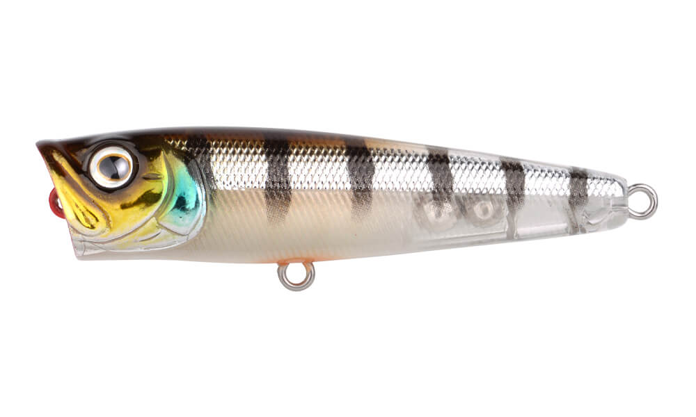 Ikiru Pop 65