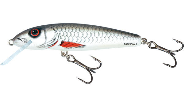 Minnow