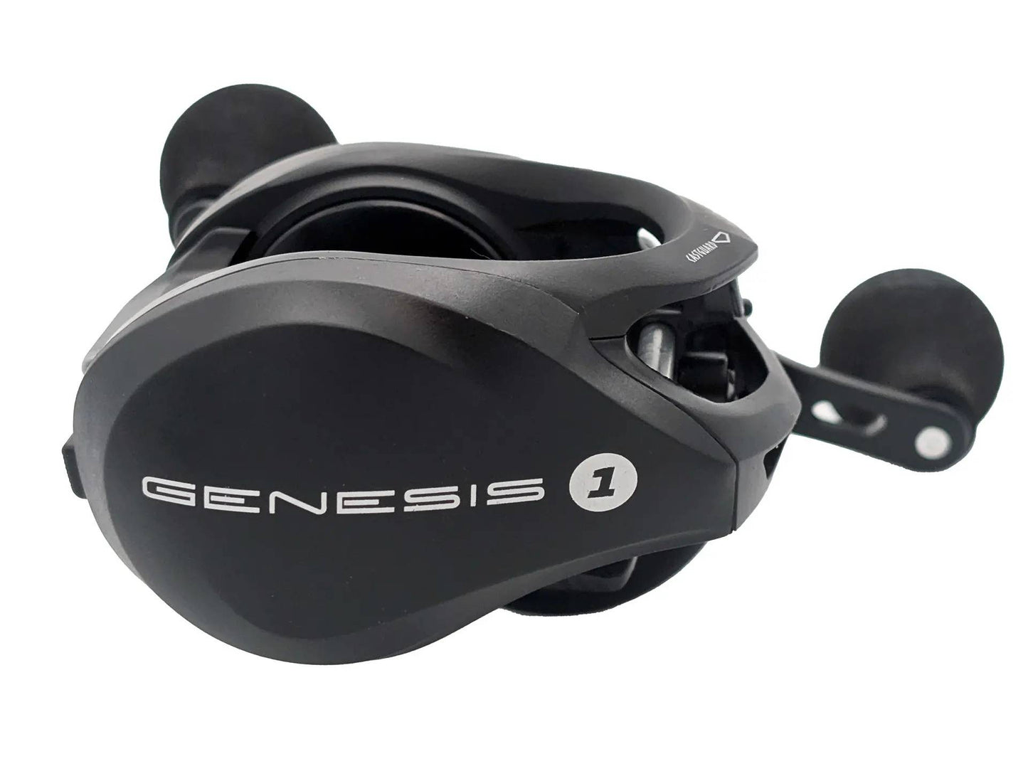 Genesis One