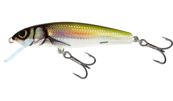 Minnow