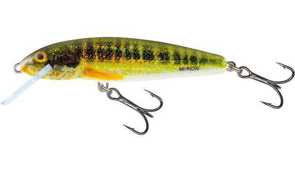 Minnow