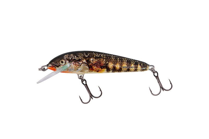 Minnow