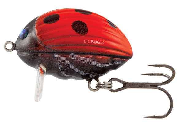 Lil´Bug Floating