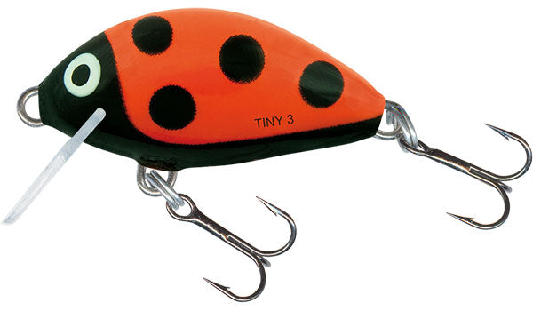 Tiny