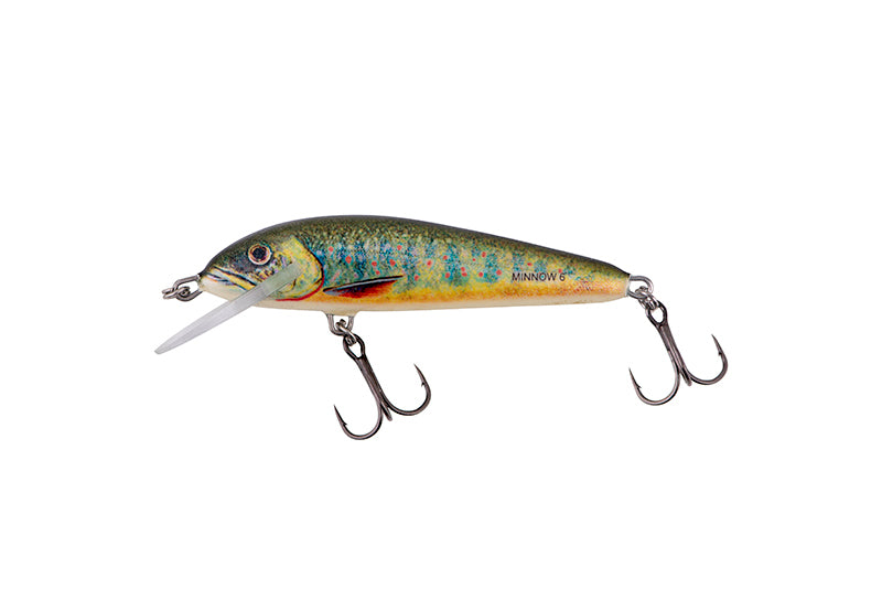 Minnow
