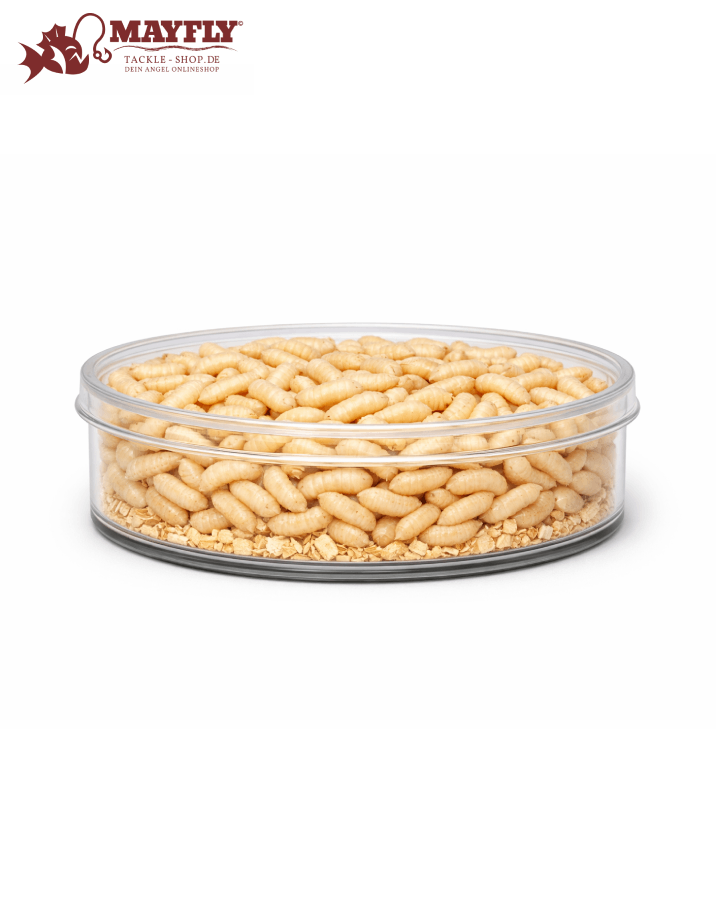 Maden (Portionsdosen)