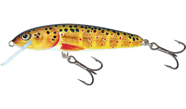 Minnow