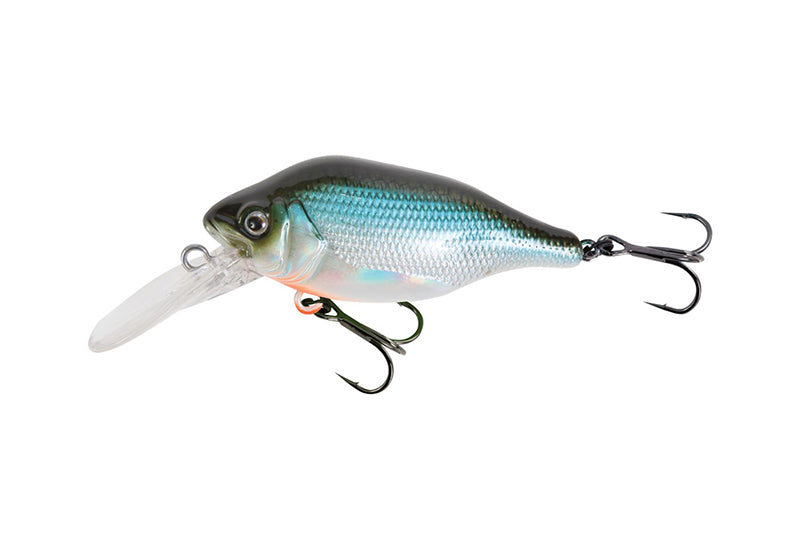 Funk Bug DR