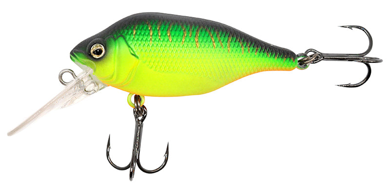 Funk Bug DR