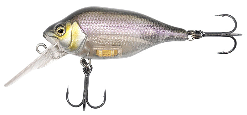 Funk Bug DR
