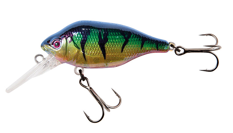 Funk Bug DR