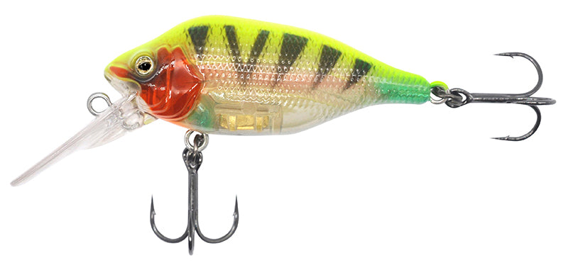 Funk Bug DR