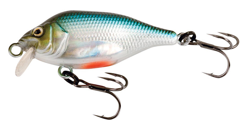Funk Bug DR