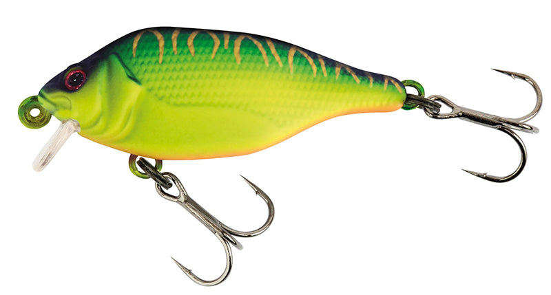 Funk Bug DR