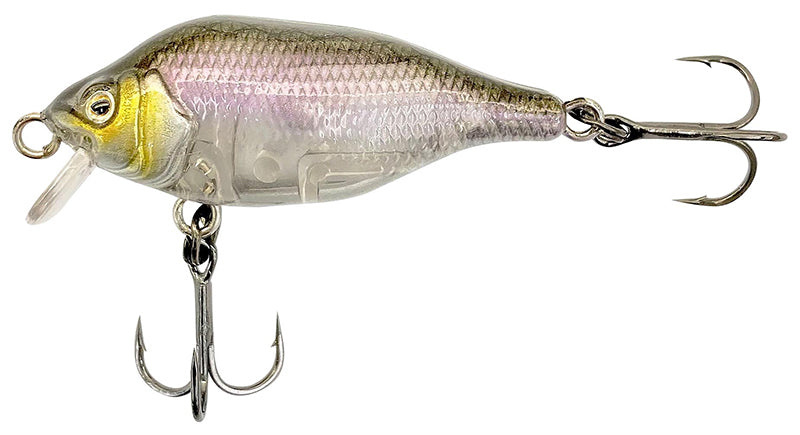 Funk Bug DR