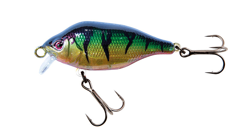 Funk Bug DR