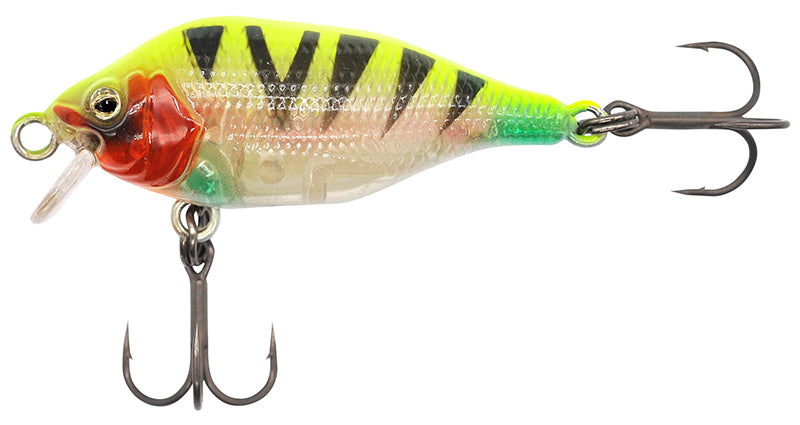 Funk Bug DR