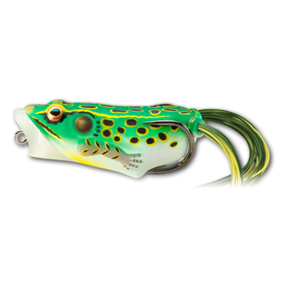 Live Target Hollow Body Frog Popper