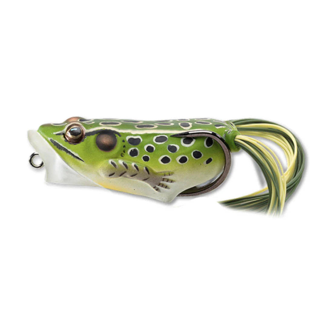 Live Target Hollow Body Frog Popper