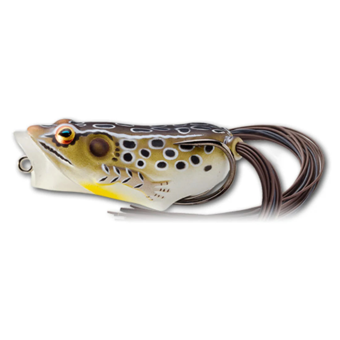 Live Target Hollow Body Frog Popper