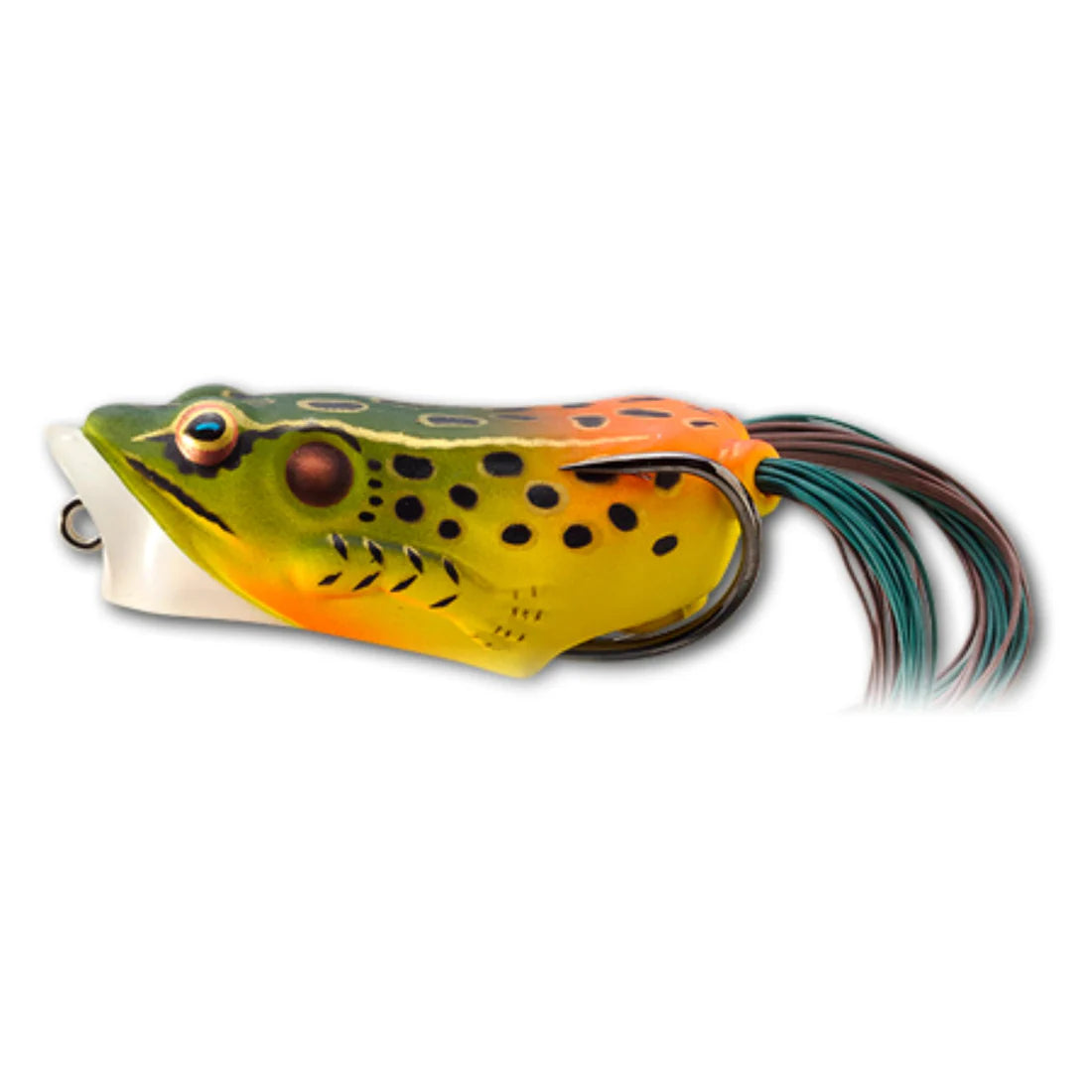 Live Target Hollow Body Frog Popper