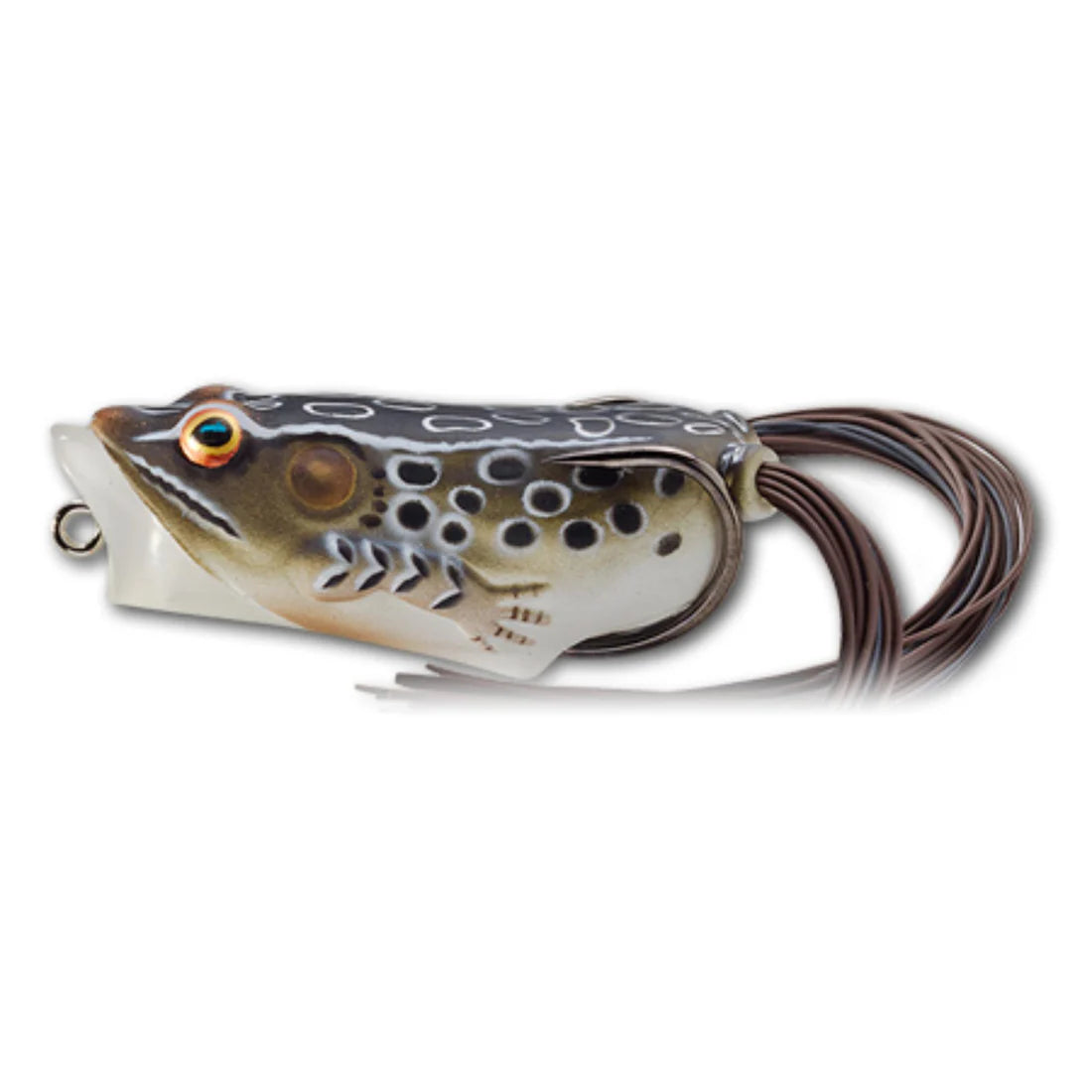 Live Target Hollow Body Frog Popper