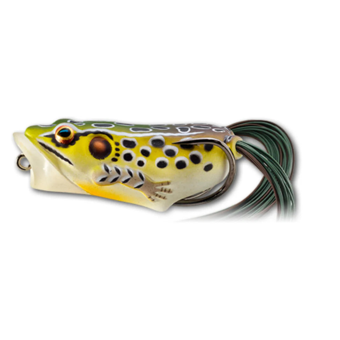 Live Target Hollow Body Frog Popper