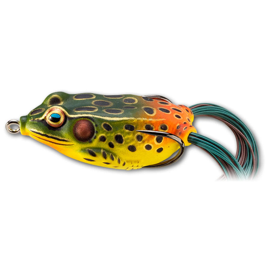 Live Target Hollow Body Frog