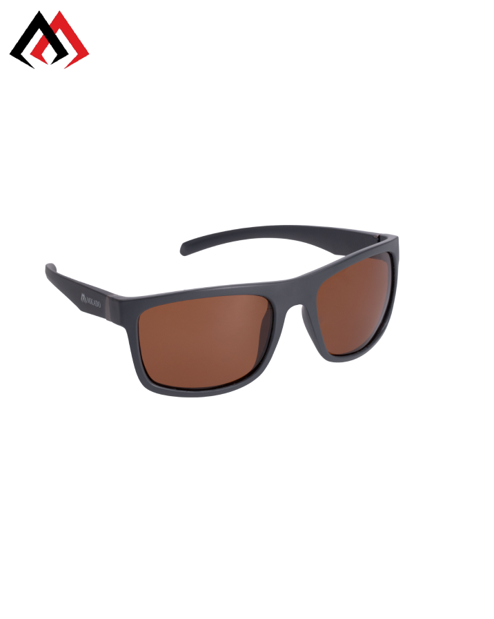 Polarized Sunglass 2025