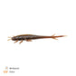 BA Shaky Sneaker |6cm