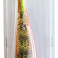 Pro Shad - Single Colour Packs UV