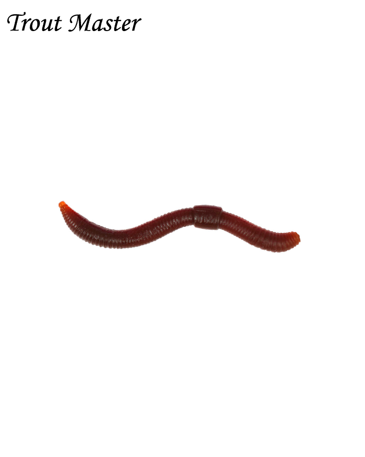 Dendrobaena 60
