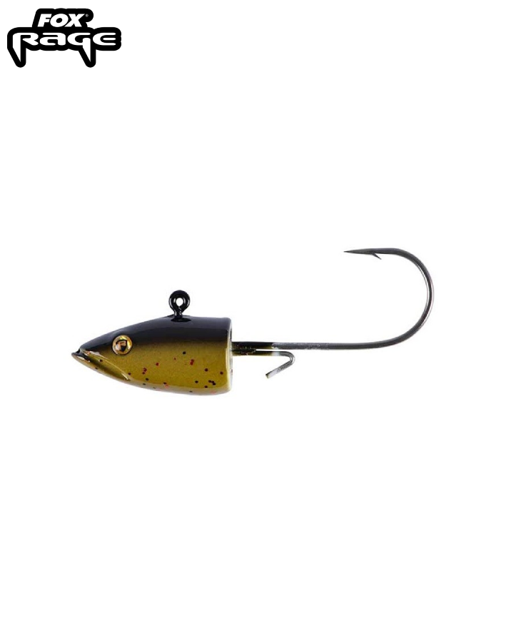 Eel Head
