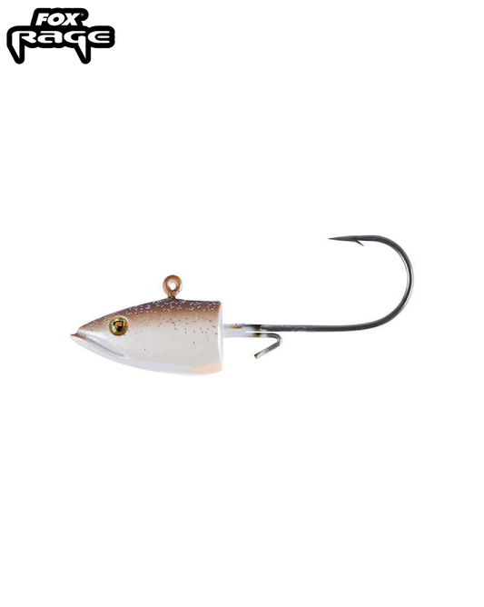 Eel Head