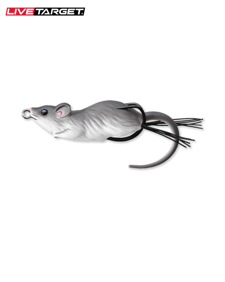 Hollow Body Mouse