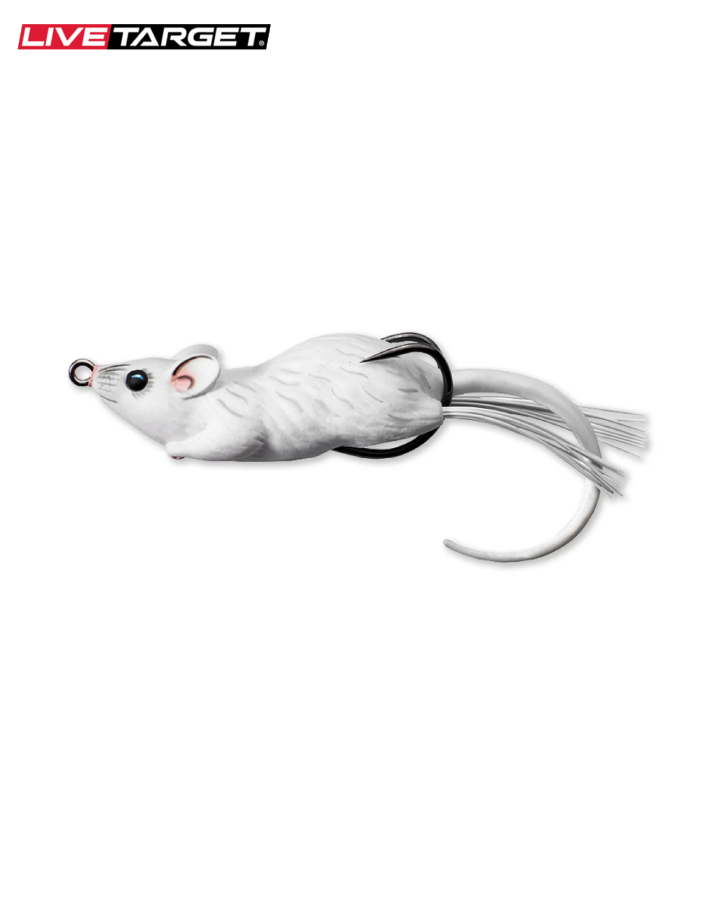 Hollow Body Mouse