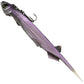 Pelagic Shad Pin-Tail