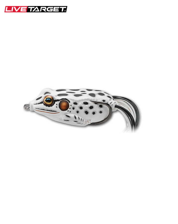 Hollow Body Frog