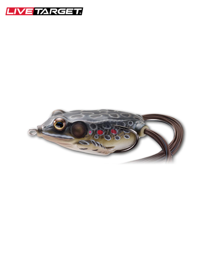 Hollow Body Frog