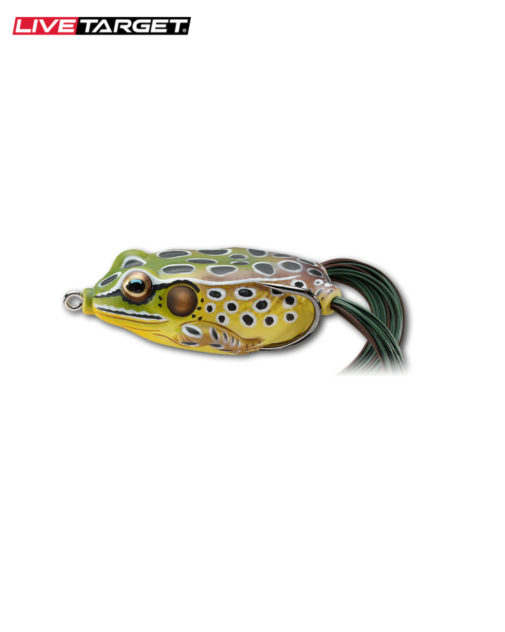 Hollow Body Frog