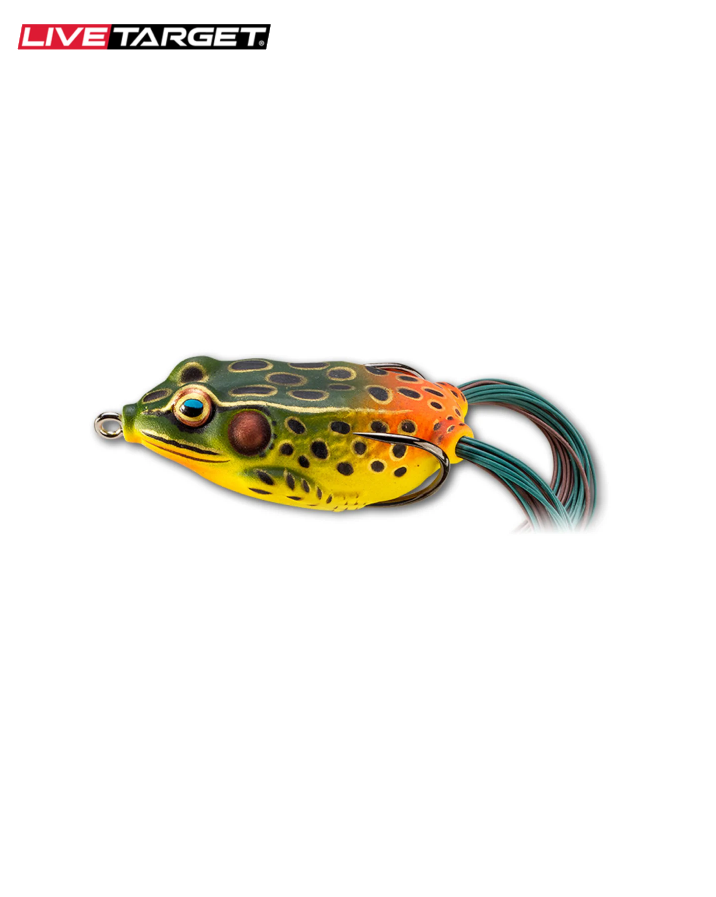 Hollow Body Frog