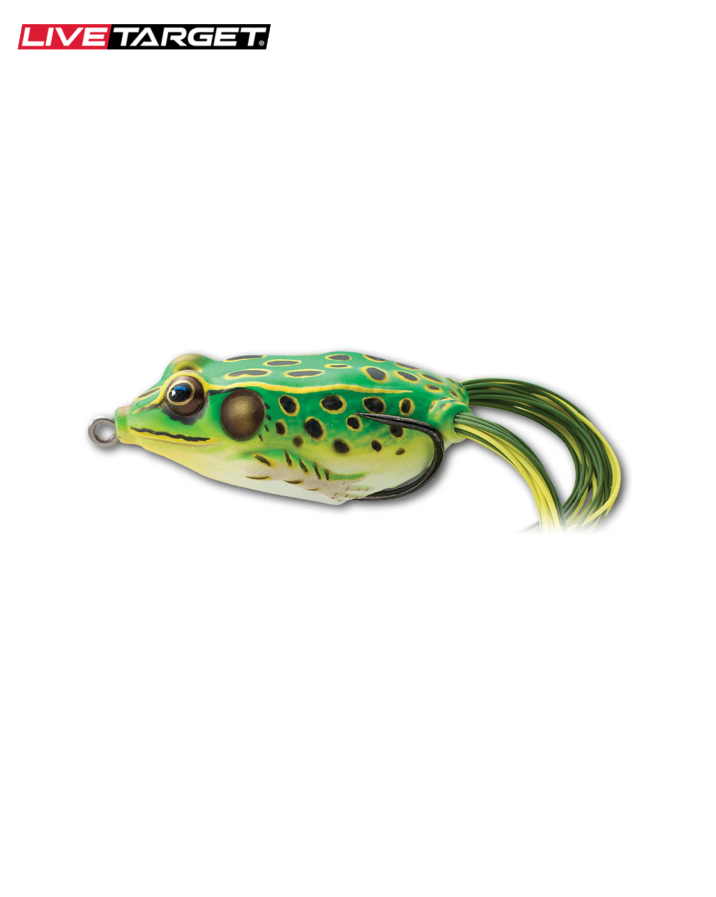 Hollow Body Frog