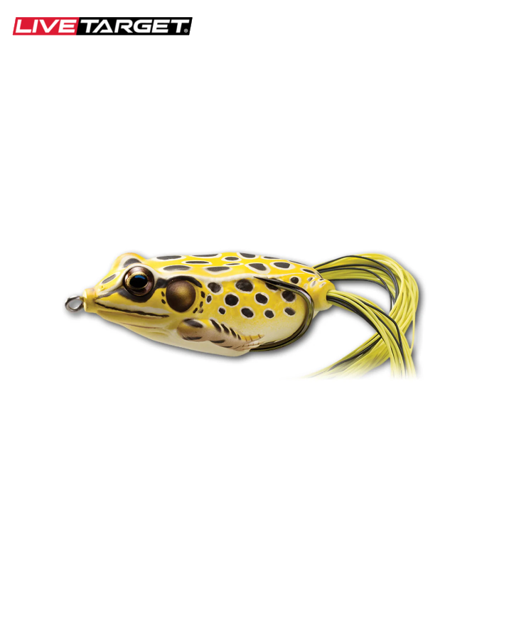 Hollow Body Frog