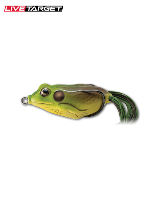 Hollow Body Frog