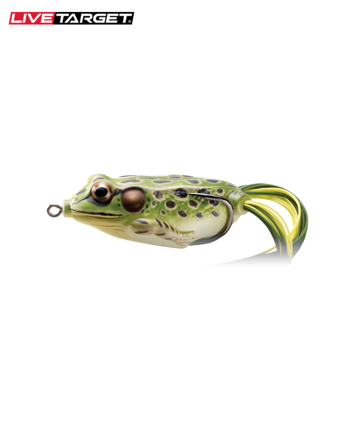 Hollow Body Frog