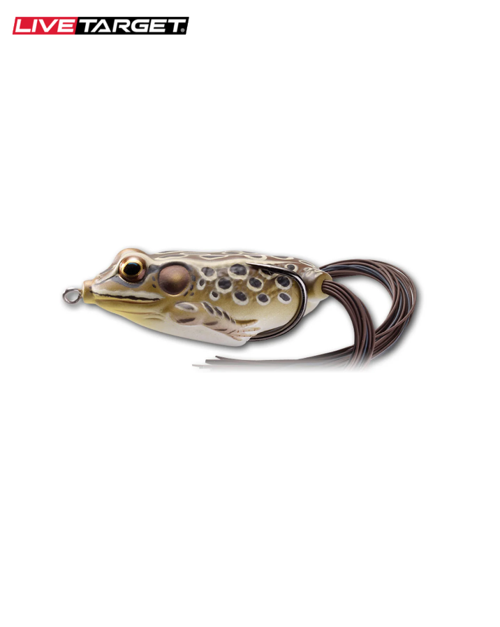 Hollow Body Frog