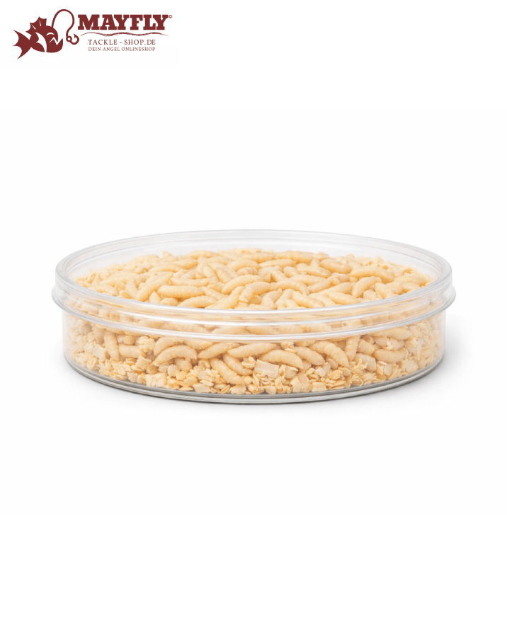 Maden (Portionsdosen)